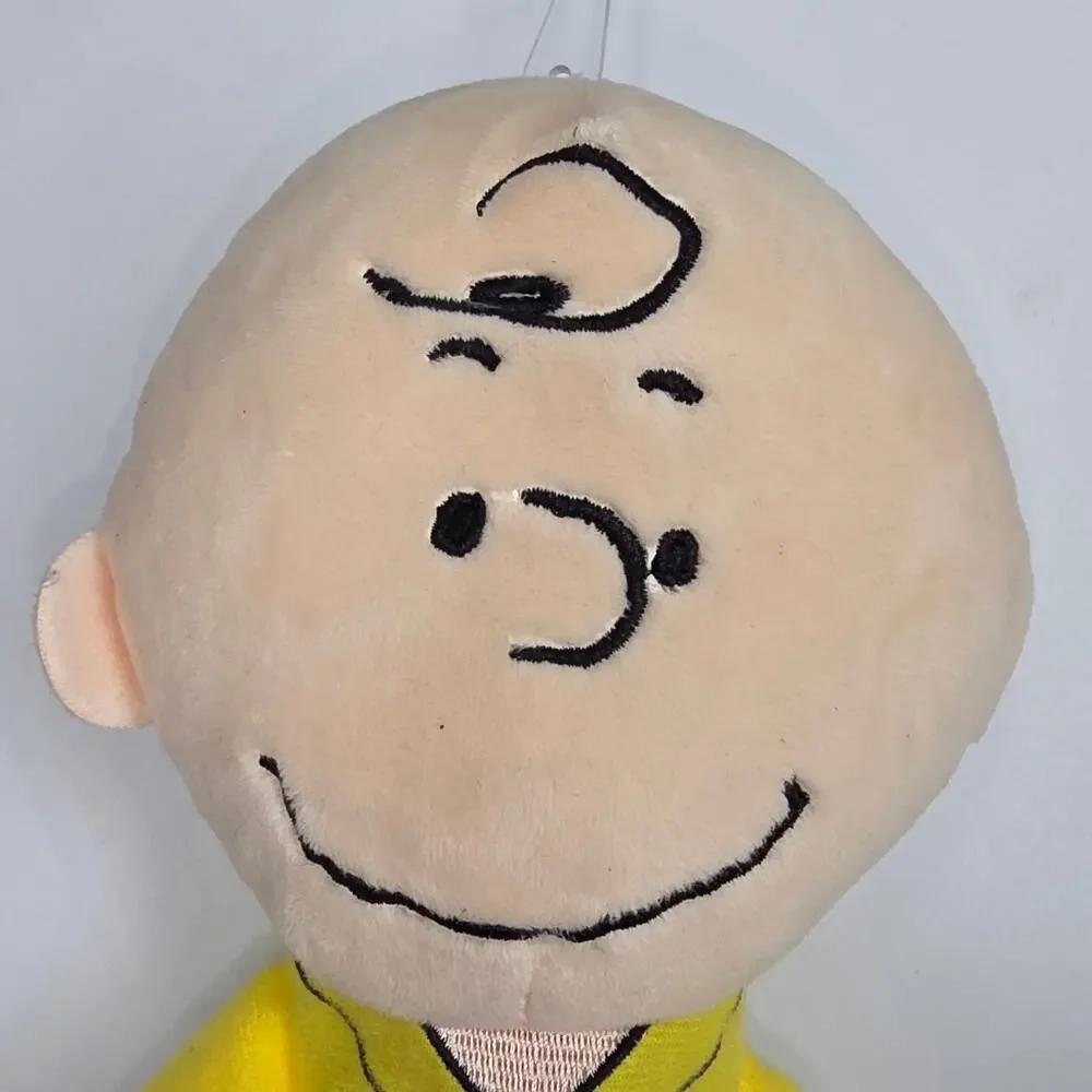 PEANUTS CHARLIE BROWN 12